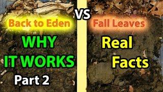 Back to Eden No Till Organic Gardening 101 Method with Mulch VS Leaves Composting Garden Soil  #2