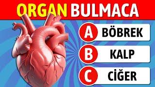 Organ İsimlerini Tahmin Edebilir misin ?  Organ Testi ! 