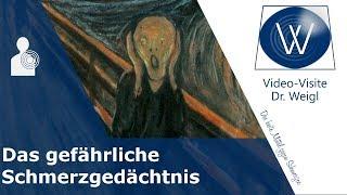 Was ist chronischer Schmerz? Wie durch Langzeitpotenzierung im Gehirn ein Schmerzgedächtnis entsteht