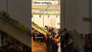 Beeramguda maha padi pooja #ayyappan #hyderabad #hindudeity #ayyappaswamysongs #ayyappa #shorts