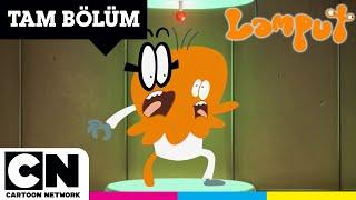 LAMPUT | Kaçırılma | TAM BÖLÜM | @cartoonnetworkturkiye