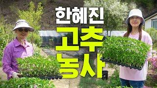 엄마랑 대판 싸운(?) 한혜진의 시골일기 | 10만원빵 게이트볼, 고추 농사, 꽃게먹방