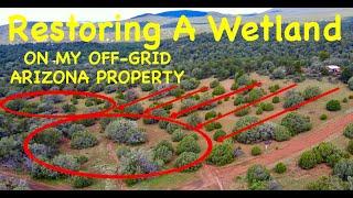 Restoring A Wetland On My AZ Property - RESULTS ON DAY 1!!  **Permaculture In The High Desert**