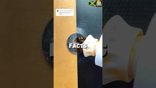 Random Facts You Need To Know #iconiccoins #facts #satisfying #asmr