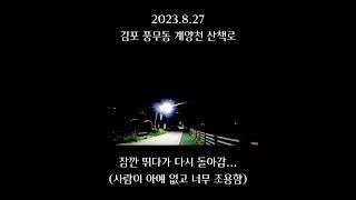 밤 계양천 산책로 달리다가 (무서워서)돌아가기 #running #달리기 #러닝