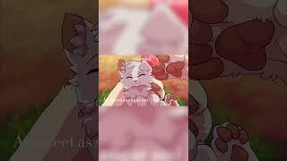 Everything at once #warriorcats #warriorsedit