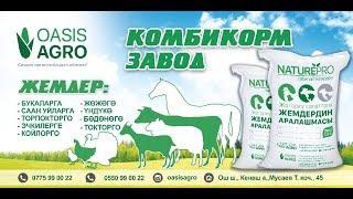 Оазис Агро (Oasis Agro) - Жем (Комбикорм) заводу.