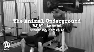 The Animal Underground: BJ Whitehead Benching