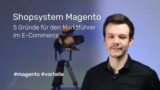 Shopsystem Magento: 5 Gründe für den Marktführer im E-Commerce