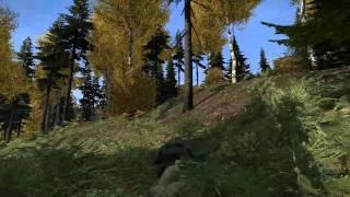 DayZ SA, Sniper does a Dying Swan. Funny death!