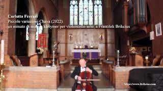 Carlotta Ferrari: Piccole variazioni Chava / František Brikcius - Cello / Vox Novus