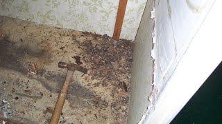 How To Repair Damaged Floor Framing Under Load Bearing Exterior Wall