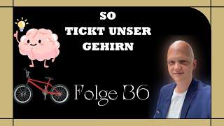 So tickt unser Gehirn - Lars Krüger Podcast Folge 36