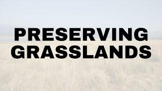 Canada's grasslands aren't coming back — can we keep what we have?