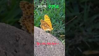 오늘의 주인공 ️
