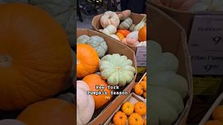 New York Autumn  Pumpkin  #nyc #halloween #manhatten #wholefoods #autumn