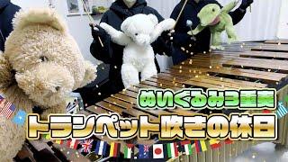 【マリンバ3重奏】ぬいぐるみたちの「トランペット吹きの休日」"Bugler's Holiday" Teddy bears Marimba trio