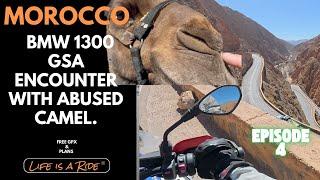 Morocco Bmw 1300 GSA Motorcycle Adventure: Heartbreaking Encounter with Abused Camel.