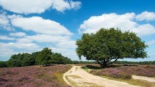 Op reis met Van Rossem, Gelderland Deel 1