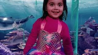 La Linda Under the sea