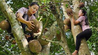 Poor girl - harvesting jackfruit, going to the market to sell, looking source for water and cooking