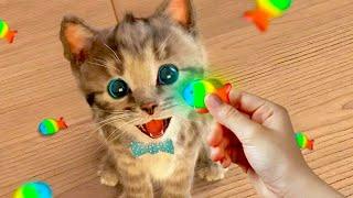 Animated Little Kitten friends Adventure - Preschool and kindergarten learning Cartoon for childrens