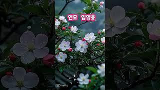 #연모 #임영웅 #김영희우리옷tv