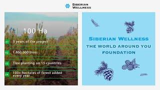 Siberian Wellness the World Around You Foundation: Ecodigest 2024