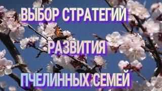 ВЫБОР МЕТОДА СОДЕРЖАНИЯ ПЧЁЛ.