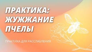 Жужжание пчелы | практика «брамари» для расслабления