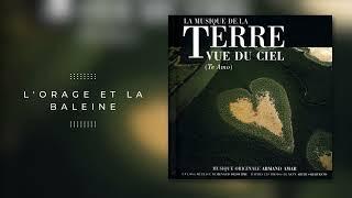 La Terre Vue du Ciel - Original Soundtrack by Armand Amar (FULL ALBUM)