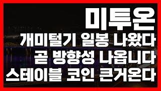 미투온 개미털기 일봉 나왔다! 이제 곧 방향성 나옵니다 스테이블 코인 재료 크다!