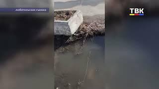 "Вода из ниоткуда": В Бердске жители дома на Попова жалуются на затопление подвала