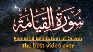 Surah Al-Qiyamah | Beautiful Recitation | Qari Muhammad Tayyib