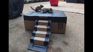 Mellie the Chipmunk - a temple created from an Amazon box.