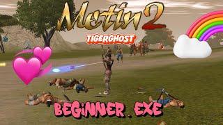 [ 1 ] Metin2 Beginner.EXE | Tigerghost