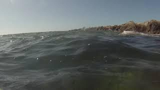 Venice Florida rock jetty snorkel