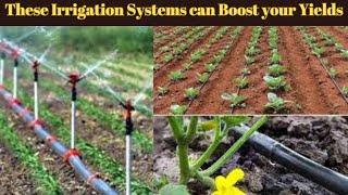 Boost Your Vegetable Farm with these 7 Simple Irrigation Systems