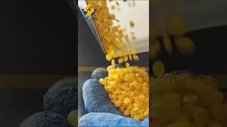 Cornflakes making #machine breakfast #babycereal production #equipment #factory #instantporridge