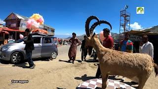 Babusar Top To Naran Road Trip KPK PK