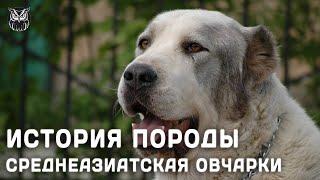 ИСТОРИЯ ПОРОДЫ СРЕДНЕАЗИАТСКАЯ ОВЧАРКИ ( Алабай ) #animals #dog #alabay #сао