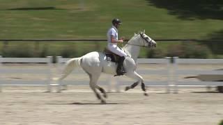 Tübingen2015 Prf06 28 Rainer Meyer auf der Heide   Cody