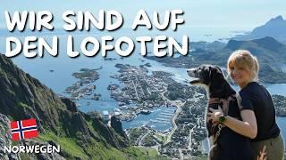 Von ANDØYA zu den LOFOTEN  Wir finden das TEUFELSTOR  Norwegen #3