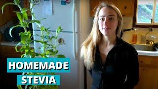 MAKE your own STEVIA