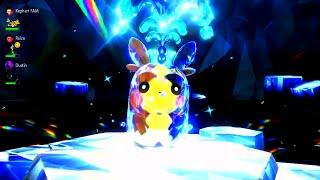 Morpeko-03-Water[Pokemon SV ⁶Tera Raids]⁰⁸¹ᶜ