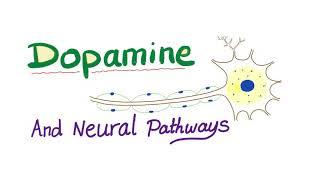 Neurotransmitters - Dopamine & Dopaminergic Neural Pathways - Physiology & Pharmacology