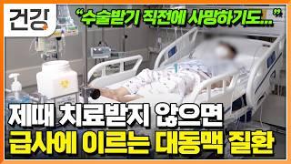 "평소 건강해도 갑자기 다가온 죽음의 그림자" 증상 없어서 더 두려운 대동맥 질환｜조기 발견이 중요한 대동맥 질환의 고위험군과 원인｜명의｜#EBS건강