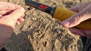 Metal detecting Mr. Metal D.  Manticore Madness