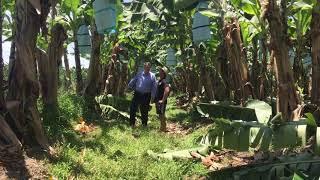 Queensland Agriculture Minister Mark Furner visits FNQ