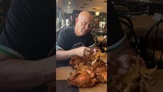 #1 CRABS in Baltimore Maryland l Costas Inn [Dundalk Maryland]